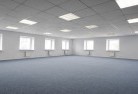 Pines Forestskylight-replacements-2.jpg; ?>
